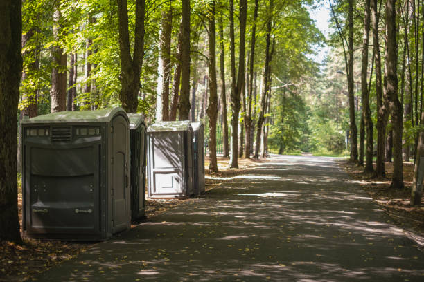 Best Porta potty rental for outdoor events  in Mount Olive, IL